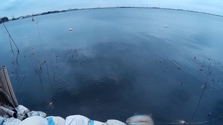7.牛久沼.jpg